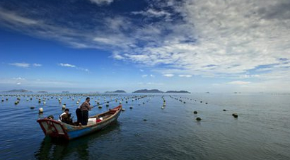 海钓要用什么鱼饵 海钓注意事项