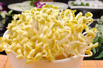 产妇能吃黄豆芽吗 产妇吃黄豆芽有影响吗