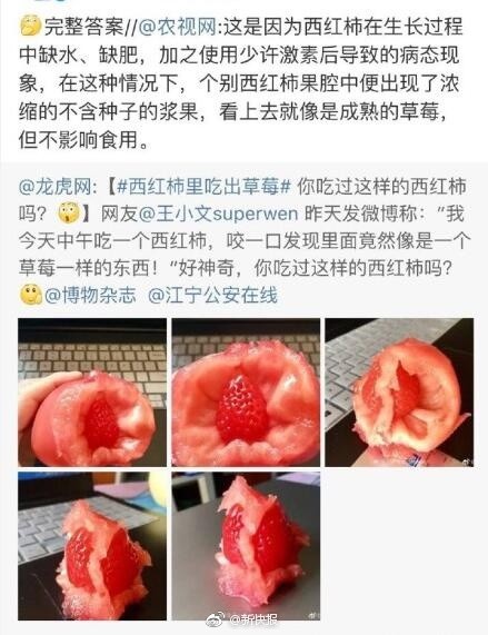 西红柿里吃出草莓是怎么回事 西红柿里吃出草莓是转基因食物吗