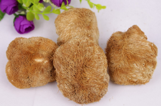猴头菇苦味有毒吗 猴头菇苦怎么办