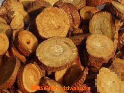 中药蜜甘草的功效与作用