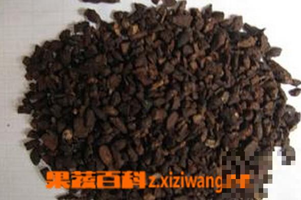 醋香附的功效与作用