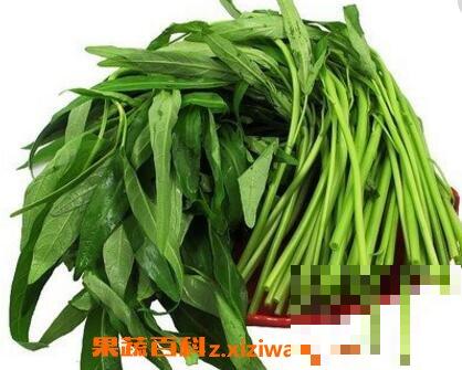 通心菜的功效与作用