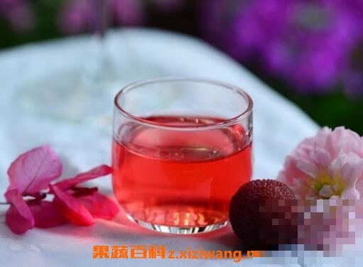 杨梅酒的功效与作用 杨梅酒的食用禁忌 杨梅酒的功效与作用 杨梅酒的食用禁忌