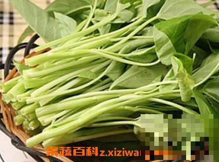 通心菜的功效与作用