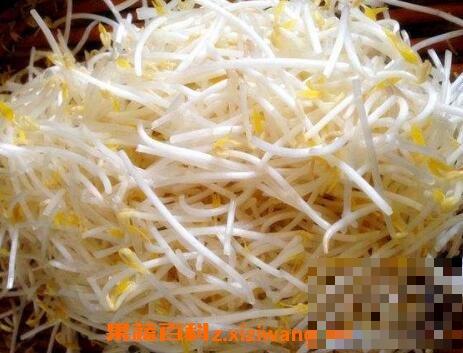 绿豆芽的功效与作用