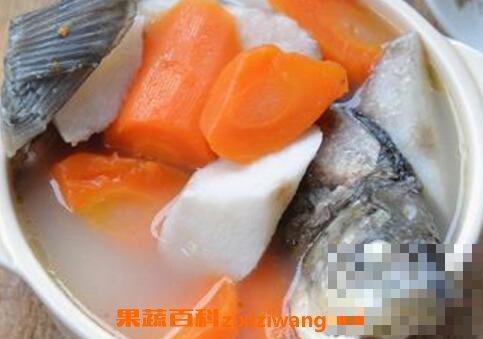鲫鱼胡萝卜汤的功效与作用