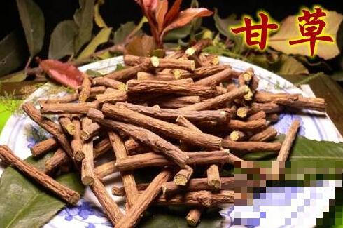 甘草泡水清热解毒延年益寿