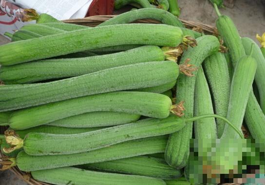 秋季养肺润肺的食物 11大妙招养阴护肺