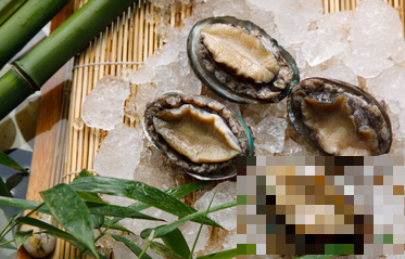 小孩子能吃鲍鱼吗 小孩子怎么吃鲍鱼