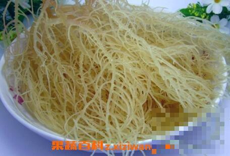 鹿角菜和龙须菜的区别