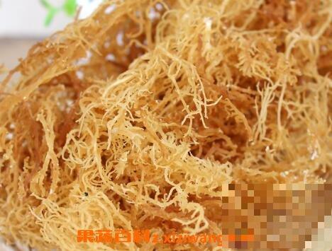 鹿角菜和龙须菜的区别