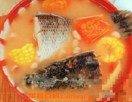 生鱼木瓜汤的功效与作用