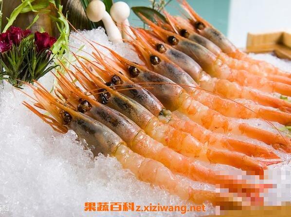 北极甜虾与甜虾的区别