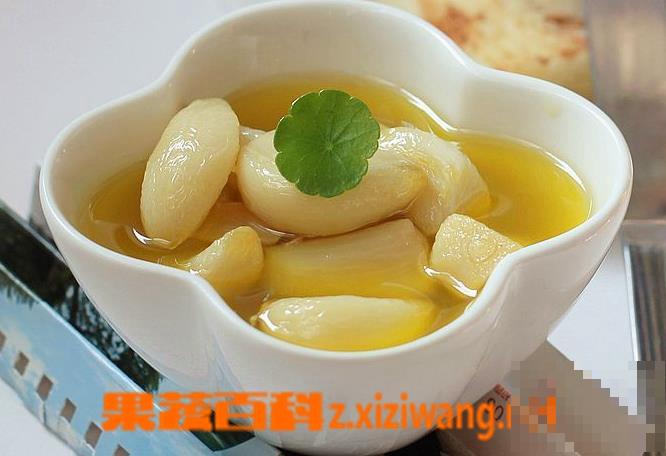 家常大蒜酱的做法 家常大蒜酱的烹饪技巧 家常大蒜酱的做法 家常大蒜酱的烹饪技巧
