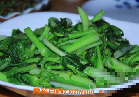 白菜苔的功效与作用