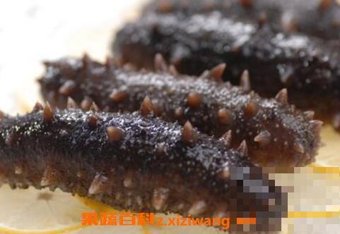 泡发海参最简单的方法