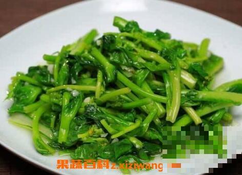 白菜苔的功效与作用
