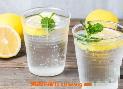 喝柠檬水有什么好处与功效