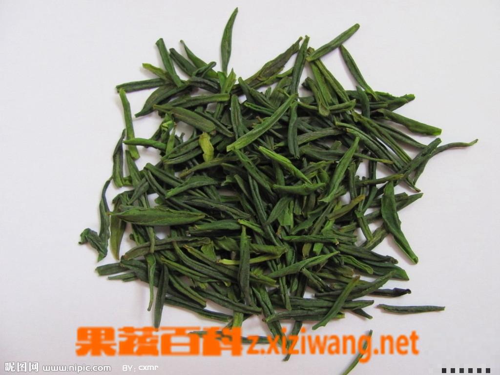 六安瓜片属于什么茶