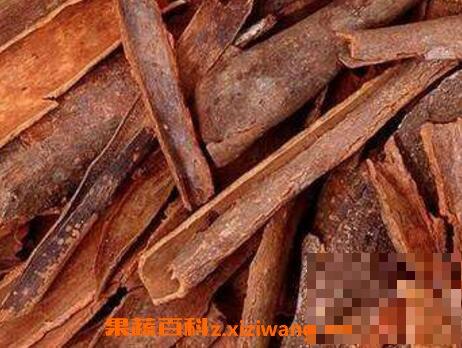 如何用桂皮泡酒 桂皮泡酒的方法