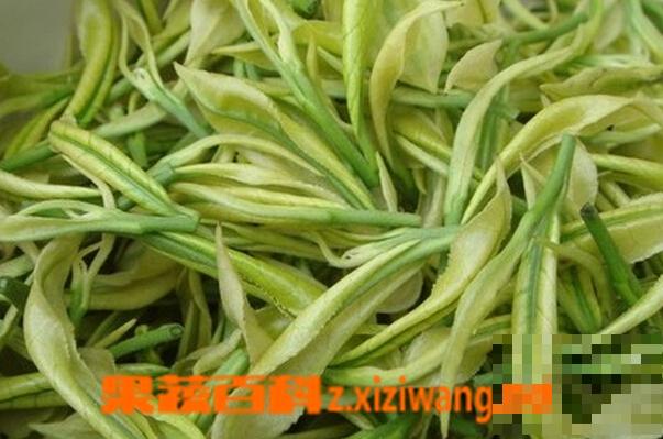 白茶的种类和功效