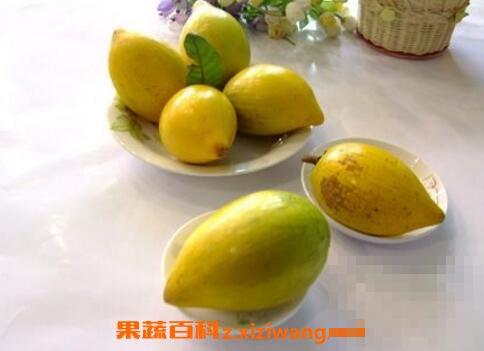 蛋黄果的功效与作用有哪些