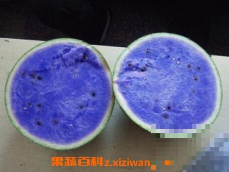 紫瓤西瓜能吃吗 紫瓤西瓜怎么种植