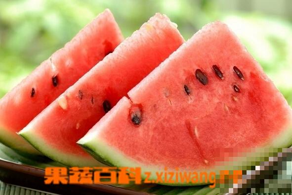 西瓜吃了有什么好处 吃西瓜有什么好处呢