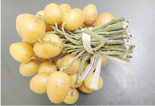 黄皮果什么时候成熟 黄皮是什么季节的水果