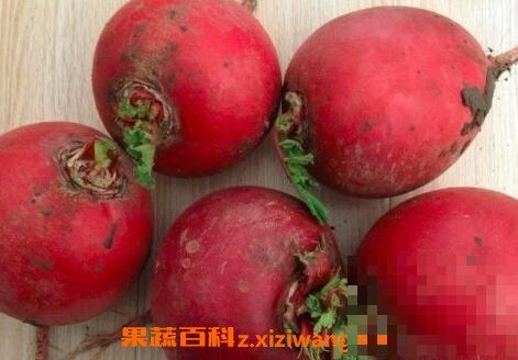 什么是雌性红萝卜 雌性红萝卜怎么吃