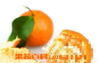吃橘子皮的好处和坏处