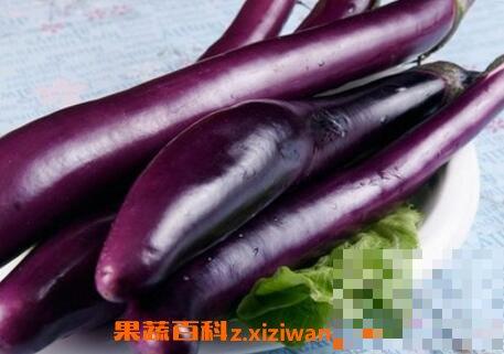 紫茄子和什么水果相克 紫茄子搭配什么吃最好