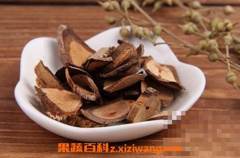 紫藤根的功效与作用 紫藤根的药用价值