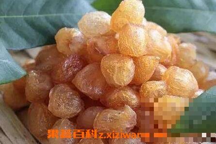 分享龙眼肉的功效与作用 吃龙眼肉的好处有哪些