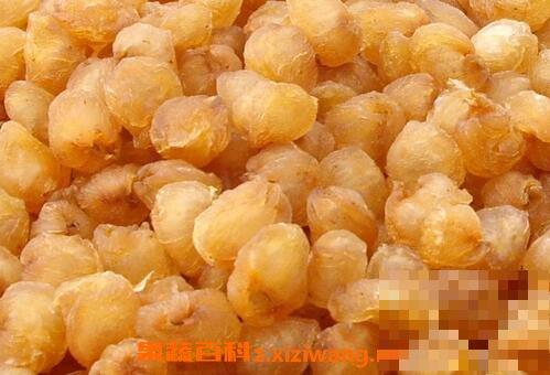 什么是元肉 元肉的作用与功效