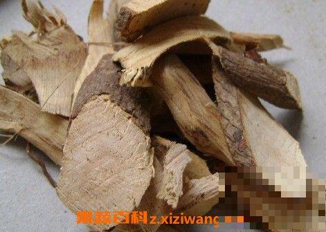 油茶树根的功效与作用